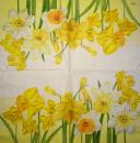 108 Daffodils - 3 ply - Home Fashion